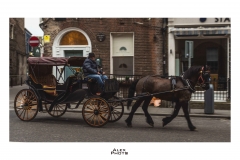 IMG_7341