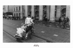 IMG_7412